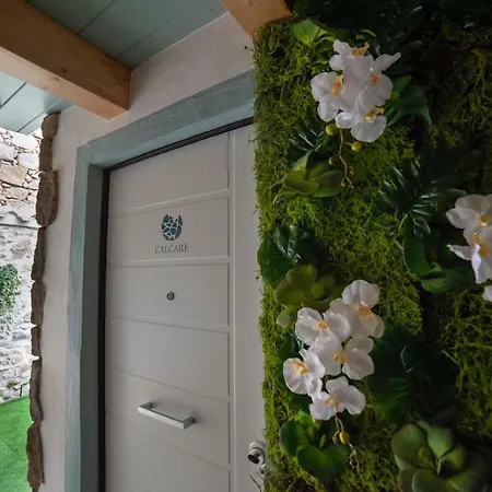 Perdas 4* 维拉西米乌斯